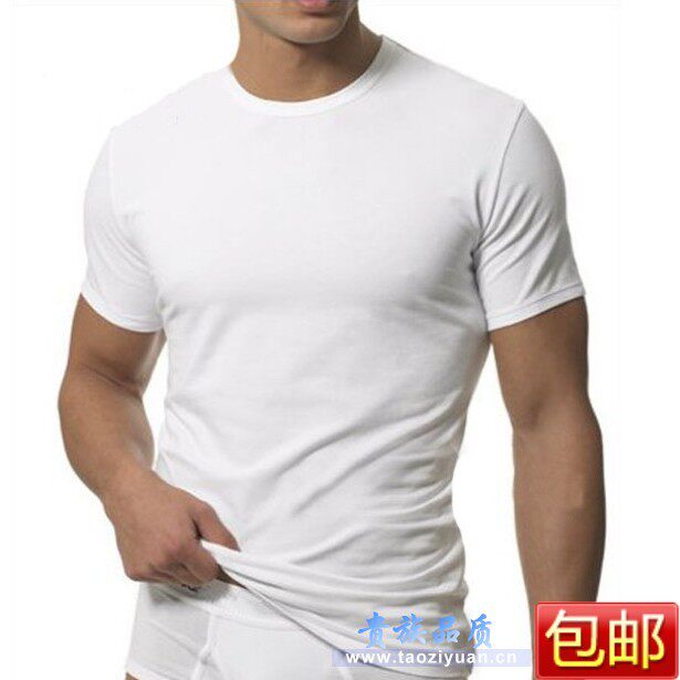 2件包邮 2011秋新打底衫 修身男士短袖t恤汗衫 纯棉莱卡男式内衣