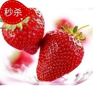  秒杀特价 台湾一番有机草莓干 纯天然 无农残 巨香 100(105)g