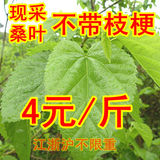 taobao english 16673560090