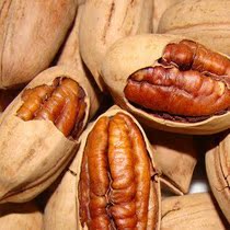  美国碧根果山核桃长寿果浓香218克特级薄皮中大果3件包邮