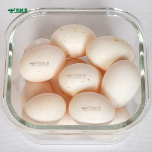  恒沃新鲜 鸽子蛋 信鸽蛋 农家五谷杂粮喂养土 鸽蛋 30只全国包邮