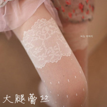 [2400]�¿� �����������ݴ�����˿��������� ������ɫ���˿��