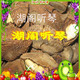 美味特产 特级鲍鱼果沙漠果增强记忆力 新疆特产