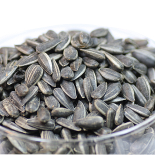  聪明炒货 小黑瓜子 珍珠王250克独立包称重 小身材大味道！