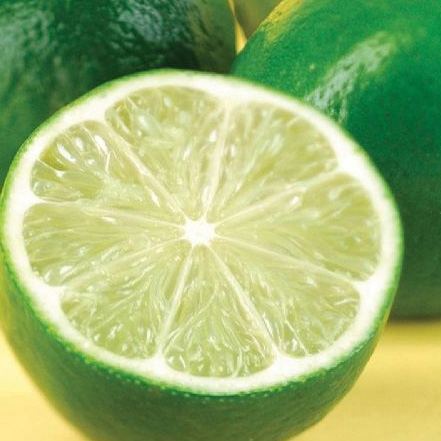 5 yuan limited weight Vietnam Imported fresh Lemon peel Juicy Throat cosmetology 500g foodin the Aquatic meat/Fresh fruits and vegetables/Cooked , Fresh fruit , Other category - from Buy2taobao.com to provide professional Taobao agent buy service