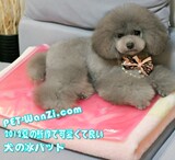 taobao english 16552724444