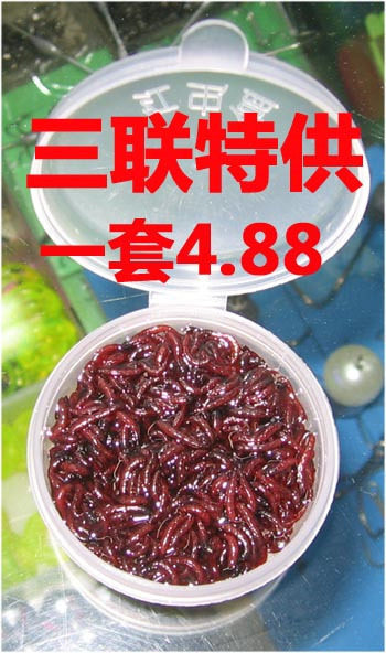 红虫（只发江浙沪）鱼饵渔具