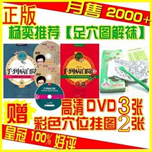 ��ʹ����桾�����ֵ����Գ�1+2+����Ѩλ����3DVD��_2.60