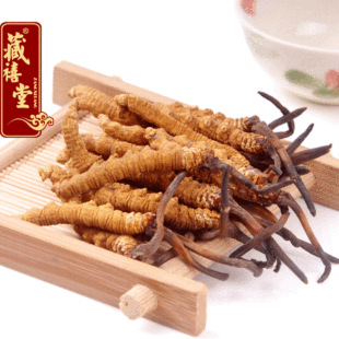  藏禧堂正品 西藏产地批发新虫草 极品那曲冬虫夏草特级礼盒4条/克