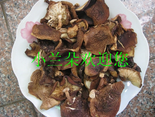  中国大陆江西赣南特产土特产香菇类南北干货散装特级野香菇50克