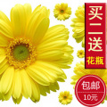 10元包邮特价【浪漫雏菊】第三代可移除墙贴 客厅卧室 立体感花朵