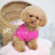 【秒杀】泰迪衣服 春夏宠物衣服 春夏 泰迪！泰迪犬衣服春！