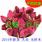 上下架计划:任意6件包邮花草茶 山东特级平阴玫瑰花茶 玫瑰花茶 美容养颜50克
