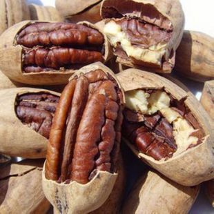  新货 炒货坚果 中大圆美国山核桃 手剥长寿果/碧根果 250克