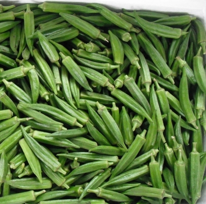 黄秋葵 六角毛豆 羊角豆 洋辣椒 降血糖 补肾草