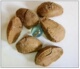 美味鲍鱼果增强记忆力健脑用品