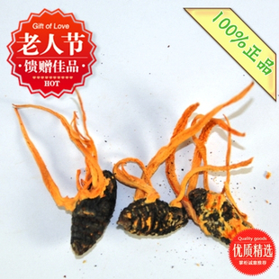  冬虫夏草 柞蚕蛹虫草 100g  北虫草 虫草花 泡酒 泡茶 5送1 正品