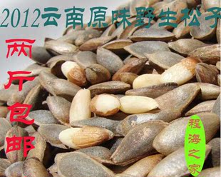  云南野生薄皮松子/2斤包邮不开口原味落水松子/粒粒饱满/非东北