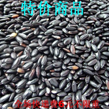 新货东北特产优质有机黑米 杂粮绿色食品 500g快递6元不限