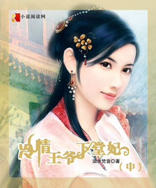 【原创电子书】冷情王爷下堂妃(中)(泪水梵音