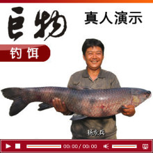 渔农巨物 通杀青草鲤鳊鲫 垂钓鱼饵料 钓饵 渔具用品满就包邮