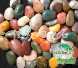 taobao english 9993333195