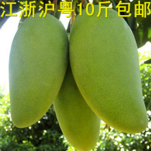 新鲜芒果 金煌芒 青皮芒 大芒果 当季最好吃的芒果 【10斤包邮】