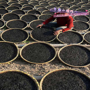  海产品 头水紫菜 特级野生头水无沙紫菜 单片直径40-50厘米 大片