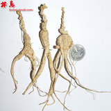 taobao english 4644358455