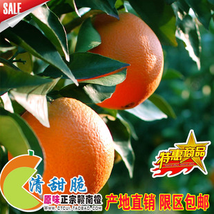  现采 赣南脐橙批发团购 甜橙子 新鲜水果 直销20斤净精品果包邮