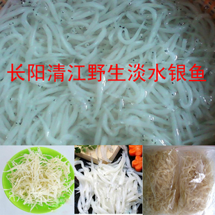  特价促销海鲜鱼类制品 清江淡水营养丰富 野生特级补钙小银鱼干