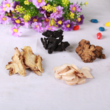 taobao english 15830108628