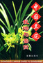 中国兰花栽培与鉴赏