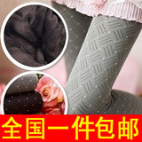 包邮显瘦编织格子/点点提花/9分裤条纹/打底裤 女加厚C-2