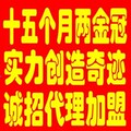 捷易通充值软件/第五代充值软件500元虚拟自动充值软件充值软件