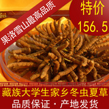 taobao english 8996826785