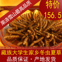 【索南才让】冬虫夏草 果洛雪山藏族大学生家乡   产地发货 156