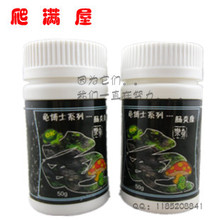 水龟陆龟都可用的肠炎康治肠炎病精神欠佳拒食50克
