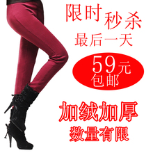 包邮 品质女裤 韩版显瘦弹力修身小脚裤直筒裤冬装铅笔裤 有大码