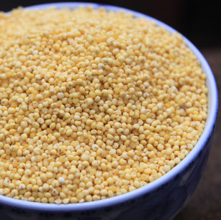 云南农家大黄米500g 粘小米 糯小米 非山西小米 四斤包邮粗粮杂粮