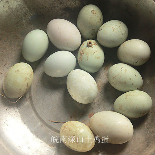  皖南深山水库 农家散养 土鸭蛋鲜鸭蛋 生鸭蛋草鸭蛋 鸭蛋咸鸭蛋