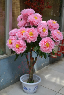 仿真植物仿真树 假树 风水树 富贵牡丹树 厂家特