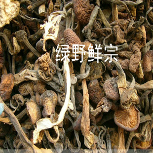  东北野生榛蘑菇 100g 野生食用菌 小鸡炖蘑菇 特产干货 2斤包邮噢