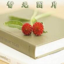 The Corner Office: Indispensable and Unexpected Lesso/����