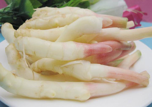  四川特产 嫩生姜 仔姜 仙指姜 新鲜蔬菜 乐山西坝现挖现发