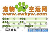 taobao english 2662997405
