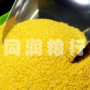  真心推荐 年新货东北新鲜优质小米 粗粮 杂粮 小黄米 500g