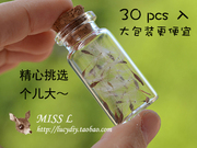 misslch01diy材料蒲公英，天然干花滴胶时光，宝石玻璃罩填充