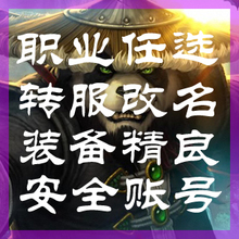国服魔兽世界帐号85级80级账号 盗贼DZ圣骑士SQ牧师MS小德鲁伊XD