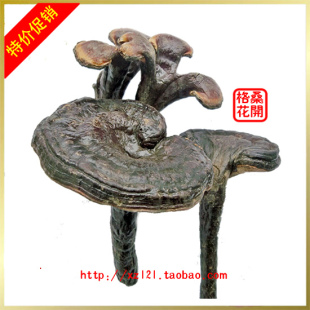  西藏特级紫灵芝（产地直销）可打 孢子粉 灵芝片（250克）